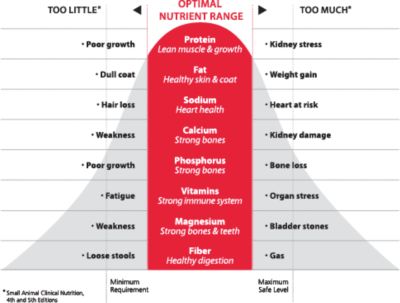 Science Diet Rochester Ny Map