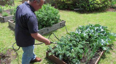 View Raised Bed Garden Tractor Supply Pics