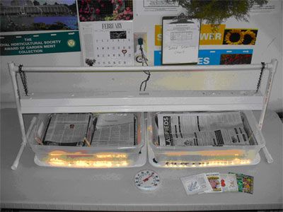 Seed Starter Lights