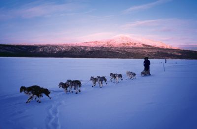 Sharing The Call Of The Wild Spring 07 Out Here Magazine Tractor Supply Co