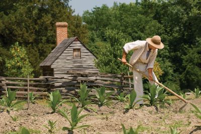 The Colonial Farmer | Winter 2008 Out Here Magazine | Tractor Supply Co.