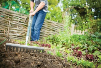 No Till Garden Tractor Supply Co