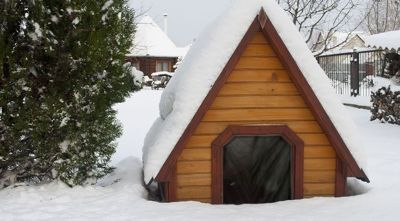 winter dog kennel