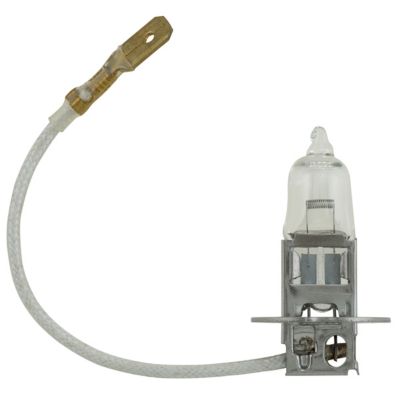 Image showing  55W H3 Fog/Driving Halogen Bulb