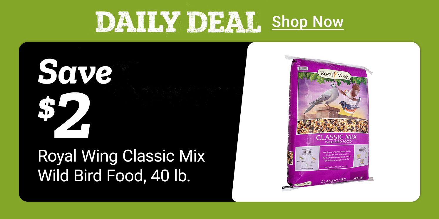 Tractor Supply Company daily deal. Save 2 dollars on Royal Wing Classic Mix Wild Bird Food 40 lb bag. Image shows bag of Royal Wing bird seed. Shop Now.
