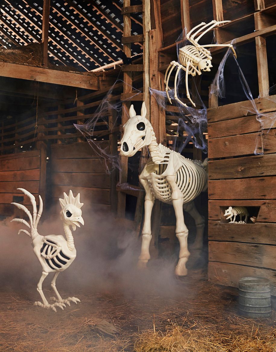 Halloween Skeleton Display