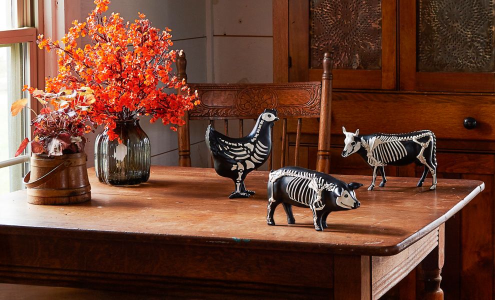 Halloween Skeleton Decor