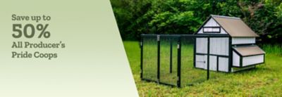 Tractor Supply Company promotion. Save up to 50 percent off all Producer's Pride coops. Image shows outdoor chicken coop with fenced enclosure in grassy area.