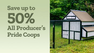Tractor Supply Company promotion. Save up to 50 percent off all Producer's Pride coops. Image shows outdoor chicken coop with fenced enclosure in grassy area.
