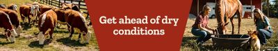 Extreme heat calls for the right supplies. Large industrial fan operating inside a barn with people and a vehicle visible in the background. Learn more.