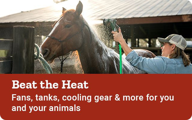 Weather Banner