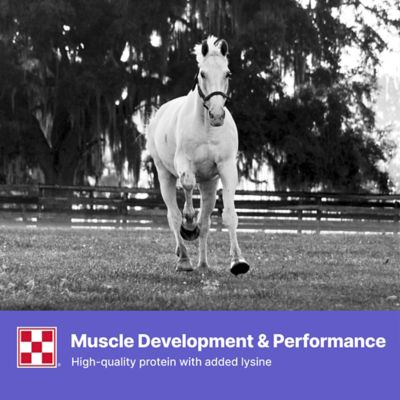 Image showing 7 th Purina Strategy Healthy Edge Horse Feed, 50 lb. Bag