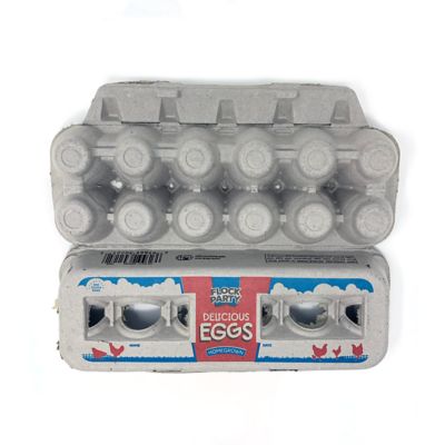 Image showing  12 Extra Large Egg Carton