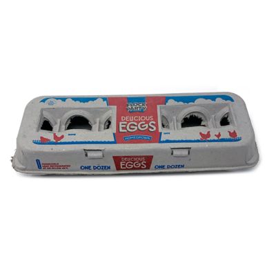 Styrofoam Egg Cartons 24 Empty Egg Cartons Crates School Crafts Reptiles Clean