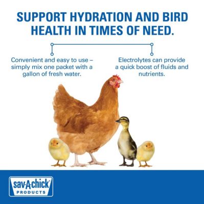 1 pack = 1 gallon Sav-A-Chick Poultry Chicken Vitamins & Electrolytes 3 pack 