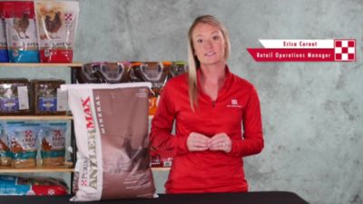 Image showing  AntlerMax Premium Deer Mineral Feed, 25 lb. Bag