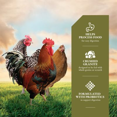 Image showing  Grit Insoluble Crushed Granite Chicken Feed Supplement, 5 lb.