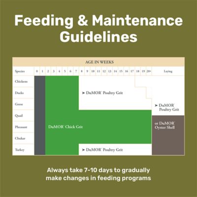 Image showing  Grit Insoluble Crushed Granite Chicken Feed Supplement, 5 lb.