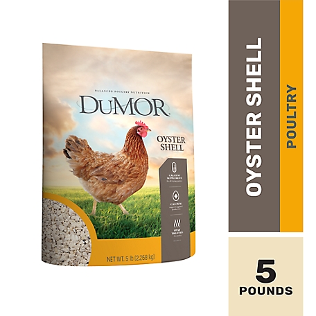 DuMOR Oyster Shell Calcium Supplement for Chickens, 5 lb.