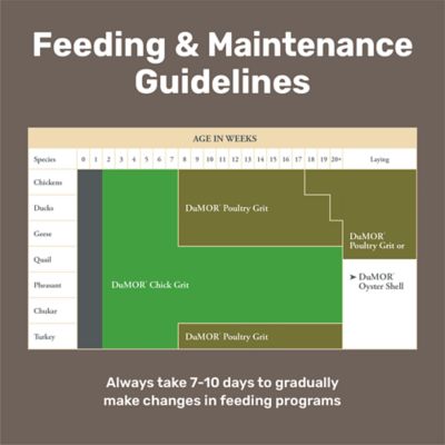 Image showing  Oyster Shell Calcium Supplement for Chickens, 5 lb.