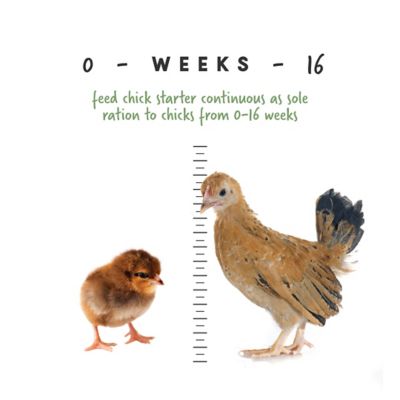 Image showing  Chick Starter Medicated Crumbled Chicken Feed, 5 lb. Bag