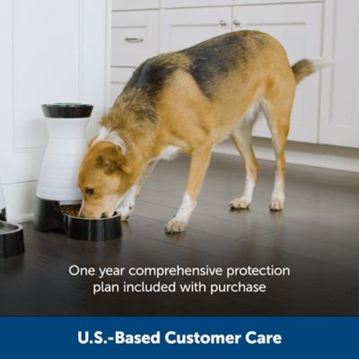 Image showing  Healthy Pet Food Station