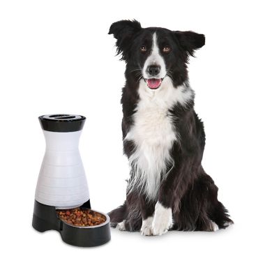 PetSafe Healthy Pet Food Station, 4 lb. Capacity, Medium