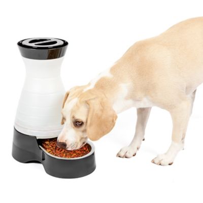 Large Dog Food Station