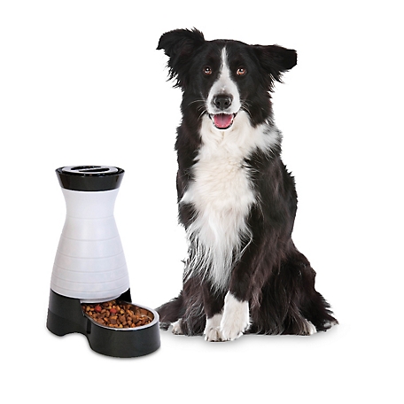 PETSAFE Healthy Pet Food Station Gravity Refill Dog & Cat Feeder