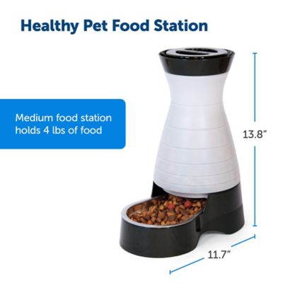 Image showing  Healthy Pet Food Station
