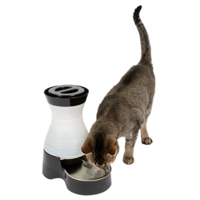 petsafe healthy pet water station large