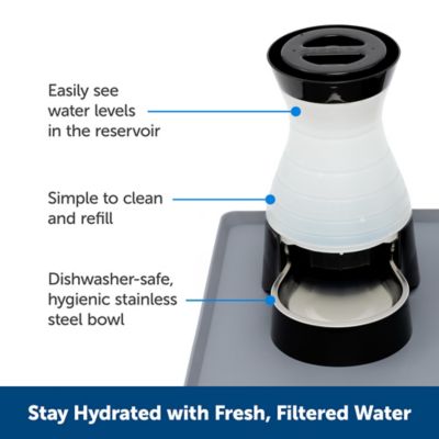 Image showing  Healthy Pet Water Station