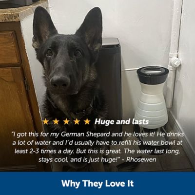 Image showing  Healthy Pet Water Station