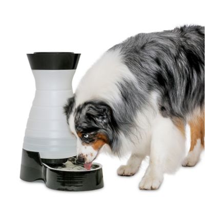 Water Fountains for Dogs Cats Tractor Supply Co