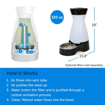 Image showing  Healthy Pet Water Station