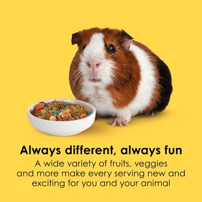 Image showing  Fiesta Guinea Pig Food, 4.5 lb. Bag