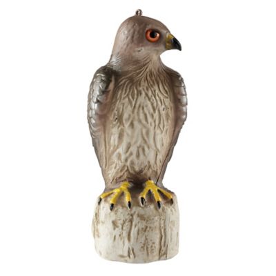 Image showing  16.5 in. Hawk Decoy