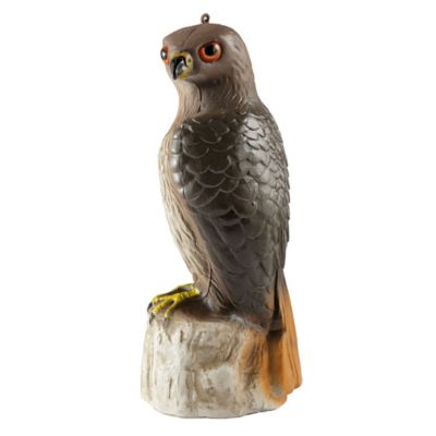 Image showing  16.5 in. Hawk Decoy