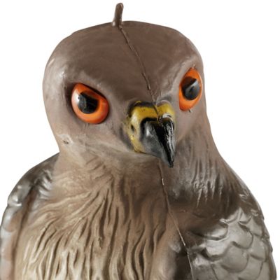 Image showing  16.5 in. Hawk Decoy