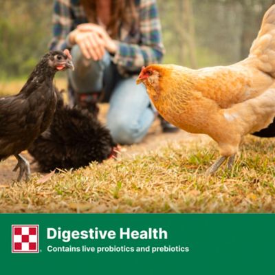 Image showing 5 th Purina Flock Raiser Pelleted Poultry Feed, 50 lb. Bag