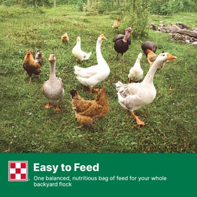 Image showing 7 th Purina Flock Raiser Pelleted Poultry Feed, 50 lb. Bag