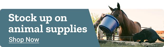 Tractor Supply Company promotion. Stock up on animal supplies. Image shows cattle eating feed and a horse with animal care supplies. Shop Now.