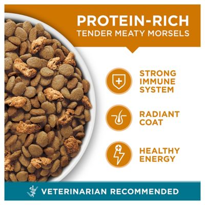 Image showing  Natural Adult Indoor/Outdoor Tender Selects Blend with Real Chicken Dry Cat Food