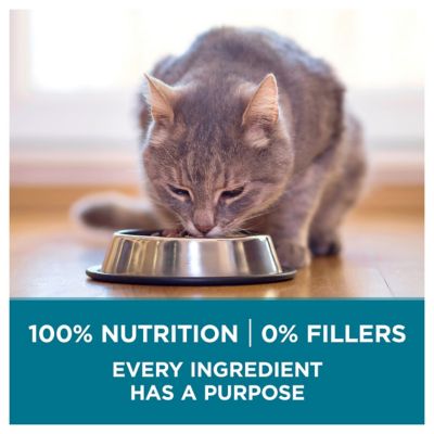 Image showing  Natural Adult Indoor/Outdoor Tender Selects Blend with Real Chicken Dry Cat Food