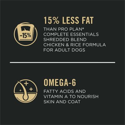 Image showing  Shredded Blend Chicken & Rice Formula With Probiotics Weight Management Dry Dog Food