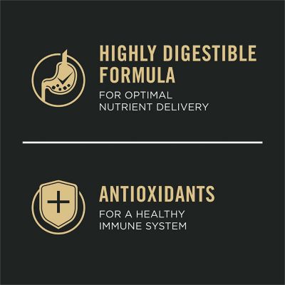 Image showing 6 th Purina Pro Plan Shredded Blend Chicken & Rice Formula With Probiotics Weight Management Dry Dog Food