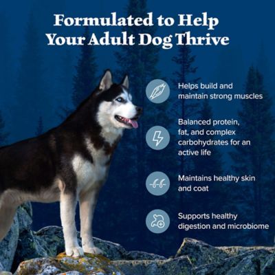 Image showing  Adult Grain-Free High-Protein Real Chicken Recipe Dry Dog Food