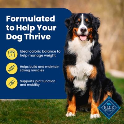 Image showing  Adult Healthy Weight Chicken and Brown Rice Recipe Dry Dog Food