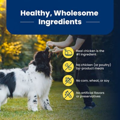 Image showing 5 th Blue Buffalo Life Protection Adult Healthy Weight Chicken and Brown Rice Recipe Dry Dog Food