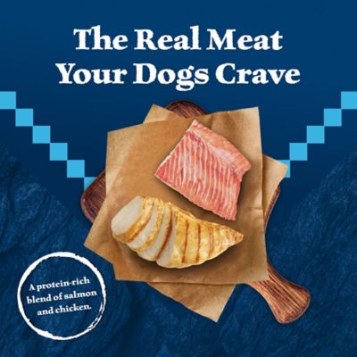 Image showing  Adult High-Protein Grain-Free Salmon and Chicken Grill Recipe Wet Dog Food, 12.5 oz.